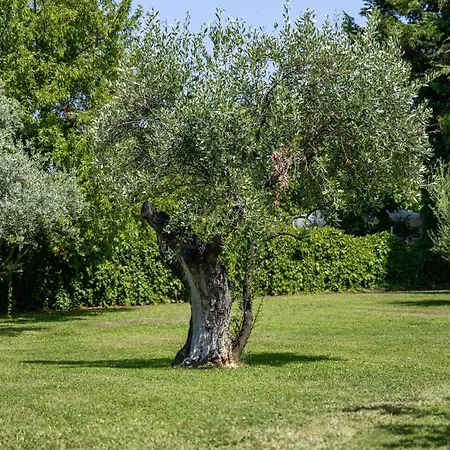 The Olympus Garden House