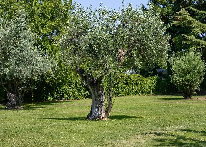 The Olympus Garden House